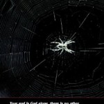 The Quran and the Miracle of the Spider : “… if they but knew.”