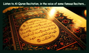 Al-Quran Recitation - Navedz.com