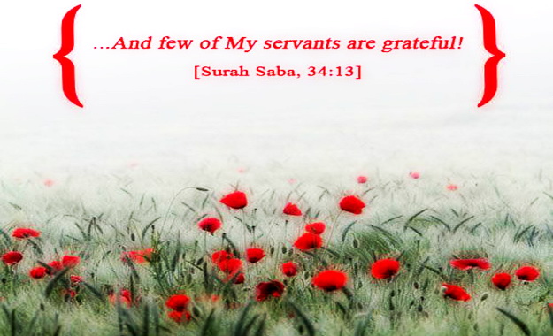 And few of My servants are grateful. 34:13